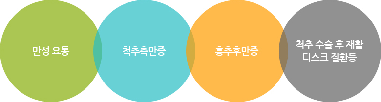 척추측만증&허리운동