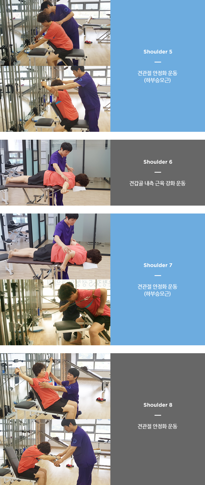 Shoulder5~8
