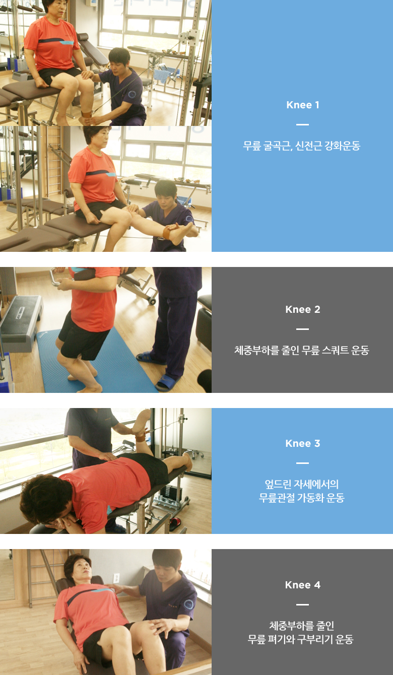 Knee1~4