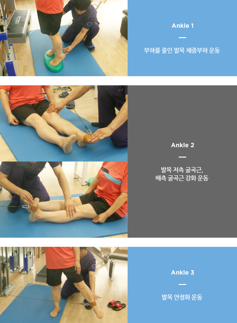 Ankle1~3